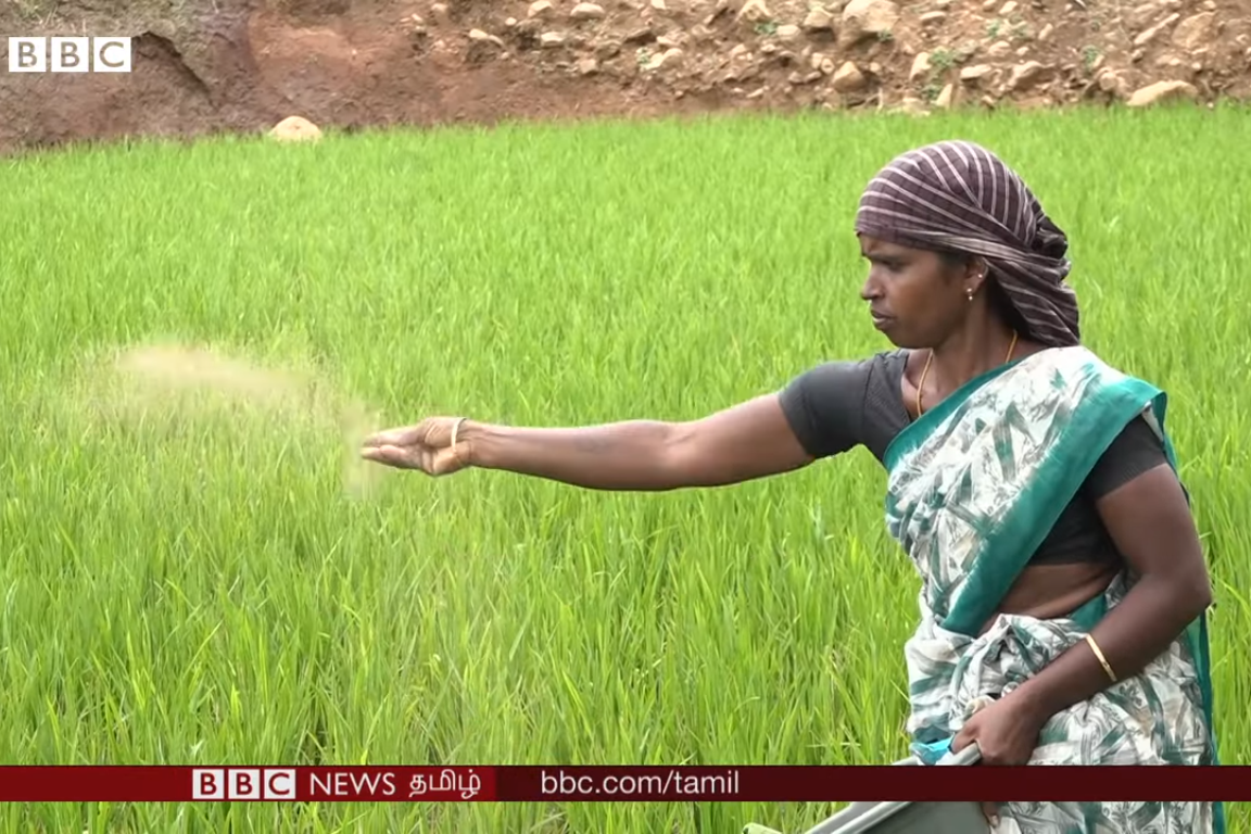 A migrant farmer