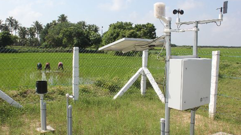 GIS-based forewarning system helping farmers resist pests