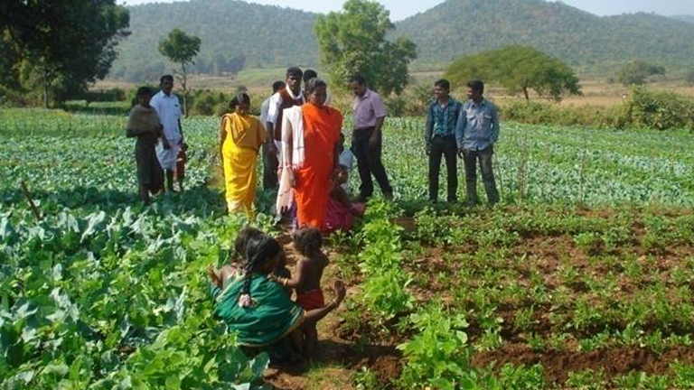 Inception of New Projects in Koraput District of Odisha under the auspices of MSSRF Regional Centre, Jeypore