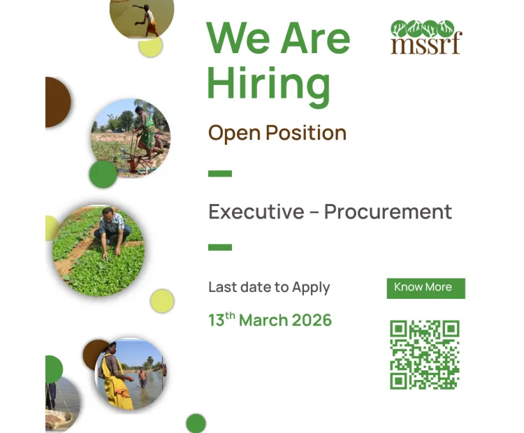 Executive – Procurement