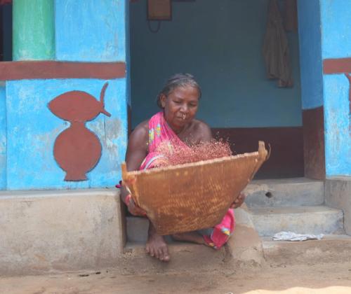 Women are neglected in Millet!