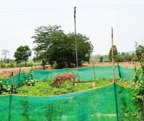 Story 3: Nutrition Garden – Practical pathway for address malnutrition