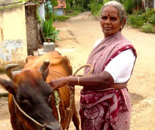 Enhancing Livelihoods of Rural Women