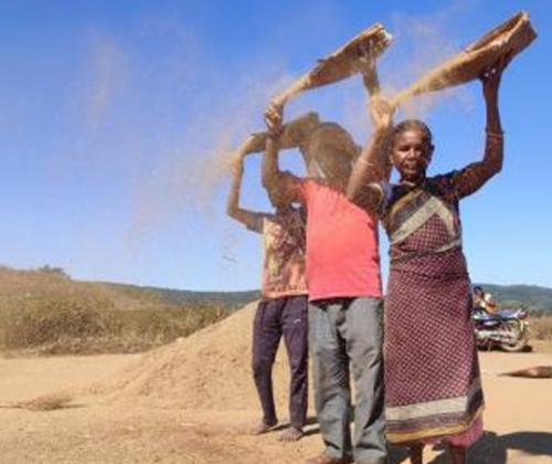 Story 4: How e-marketing enabled Hill brooms collecting tribal women to access market
