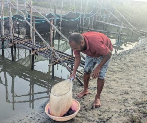 "Harvesting Hope: Samidurai's Journey in Seabass Cage Farming"
