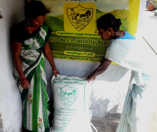 Collective feed procurement by women dairy farmers reaps rewards