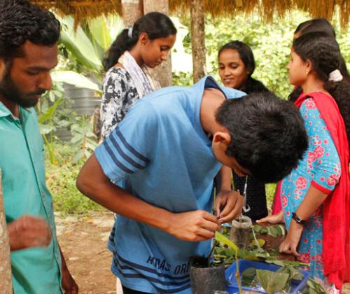 Nurturing love for nature among students